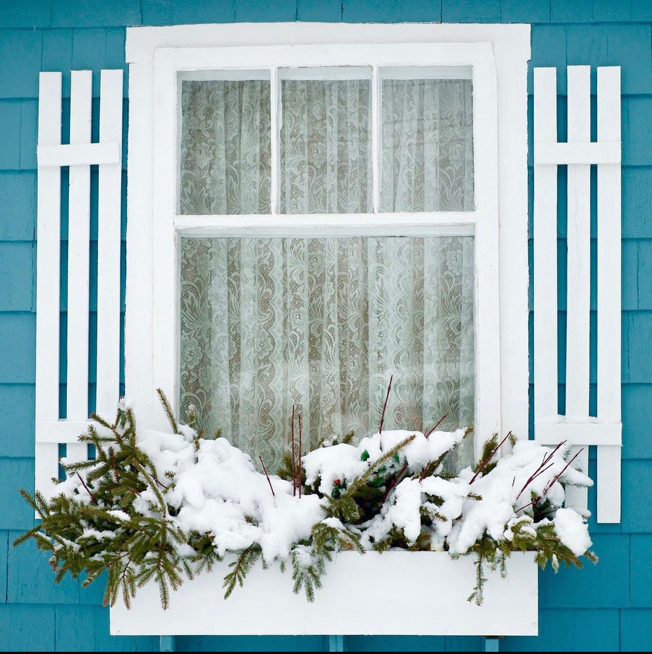 Modern Window Box