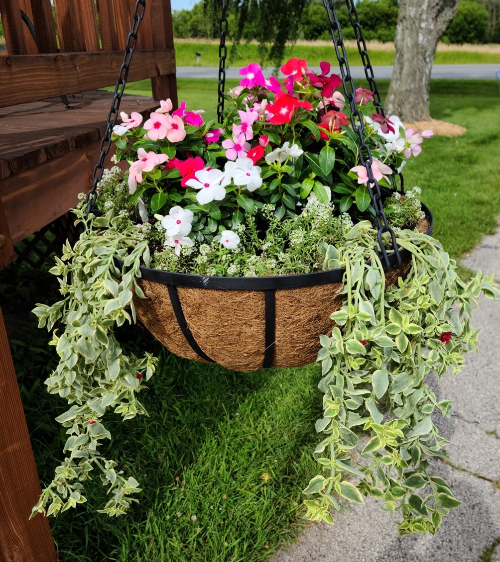 Large English Garden Hanging Baskets